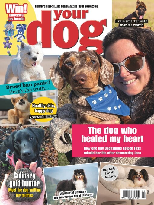 Cover image for Your Dog
